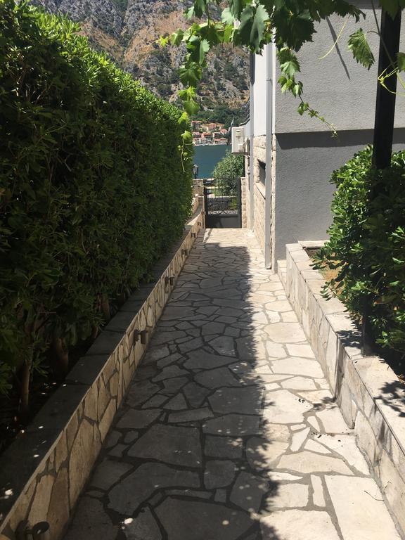 Bjelica Apartments Kotor Buitenkant foto
